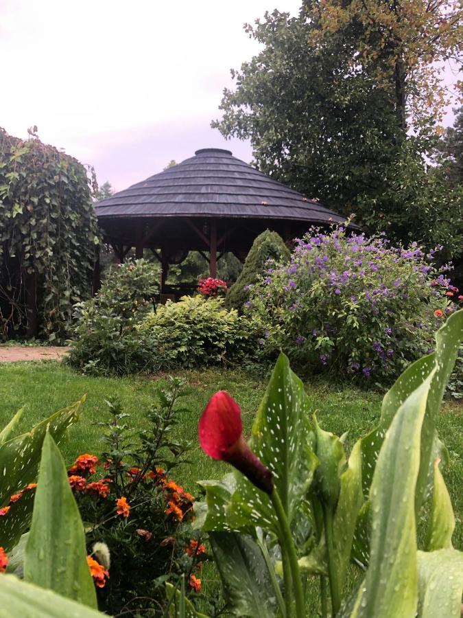Apartmanove Ubytovanie Pod Dubom Polny Kesov Экстерьер фото