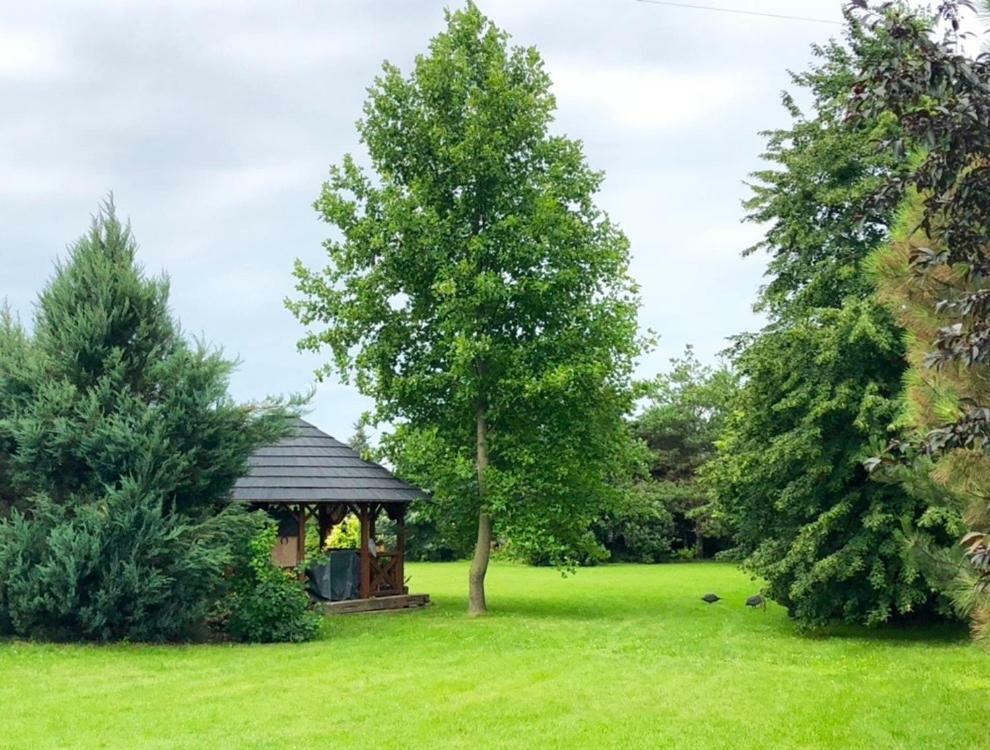 Apartmanove Ubytovanie Pod Dubom Polny Kesov Экстерьер фото